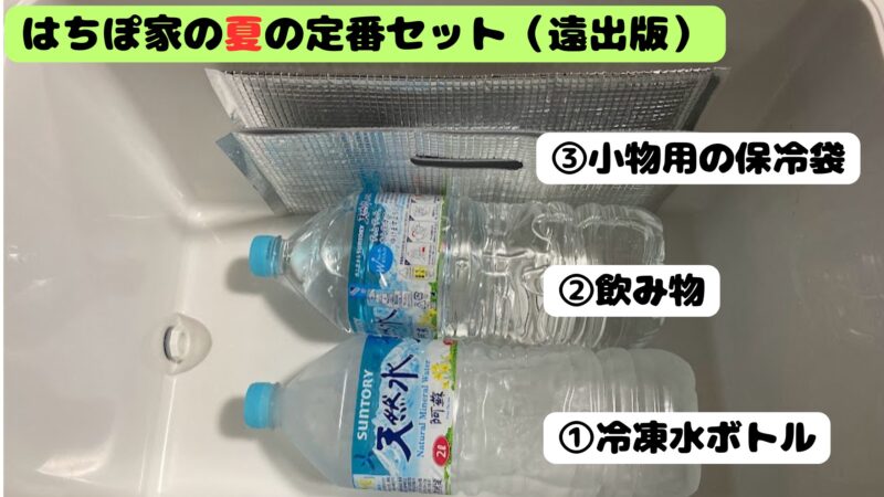 シマノのクーラーボックス「フィクセル」の中に、2Lの冷凍ペットボトルと飲み物、小物用保冷袋を効率よく配置した「はちぽ家定番セット」の様子。