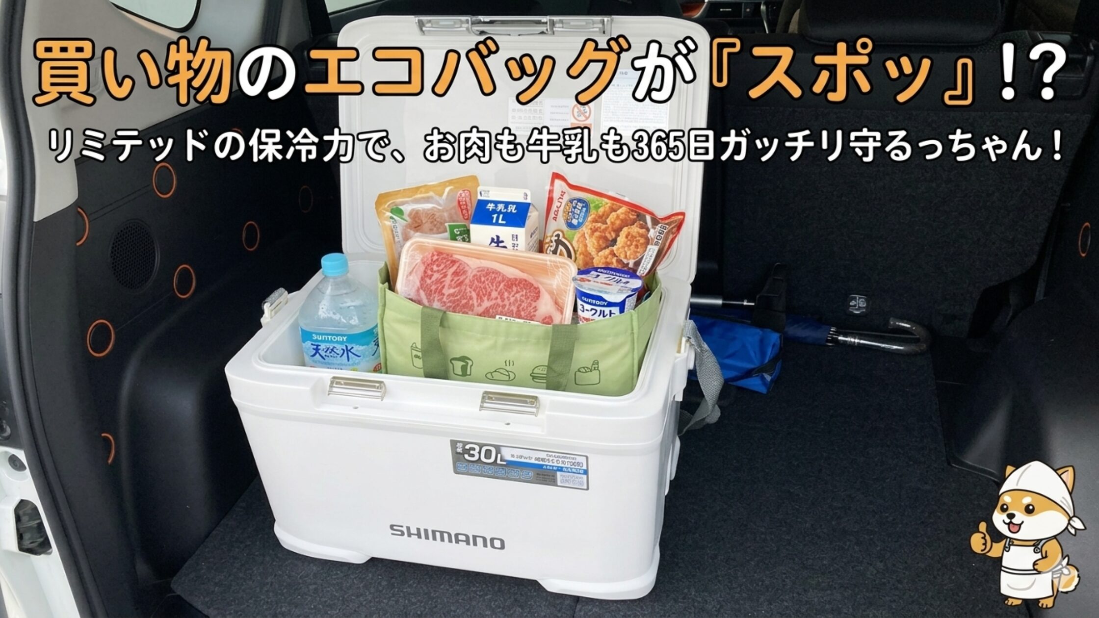 シマノのクーラーボックス「フィクセル」のトランク車載画像。庫内にスーパーの買い物エコバッグがぴったり収まり、中には霜降り牛肉や牛乳、2L冷凍ペットボトルが入っている様子を伝えるアイキャッチ。