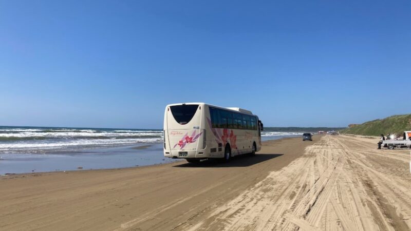晴天の千里浜なぎさドライブウェイの砂浜を波際ギリギリに走る大きな観光バスの後ろ姿