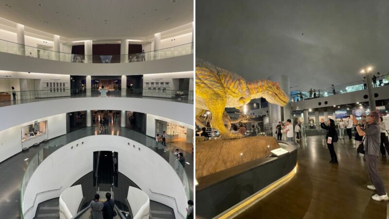 福井県立恐竜博物館の地下へ下る近未来的なエスカレーター(左)と、大迫力の動くティラノサウルス像を囲む館内の様子(右)の2分割写真
