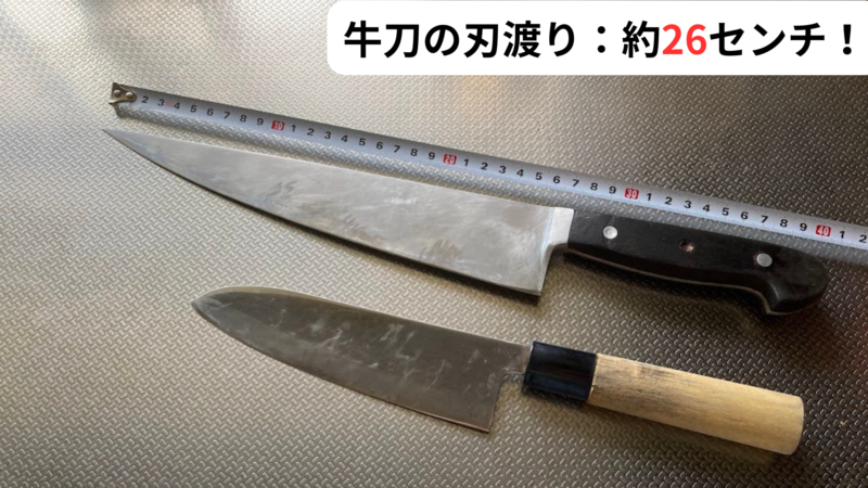 ゾーリンゲン牛刀の刃渡り約26cmをメジャーで計測し三徳包丁と比較した写真